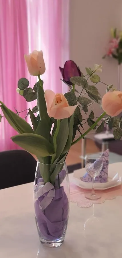 Apartman Galija 1 Zadar Apartmán